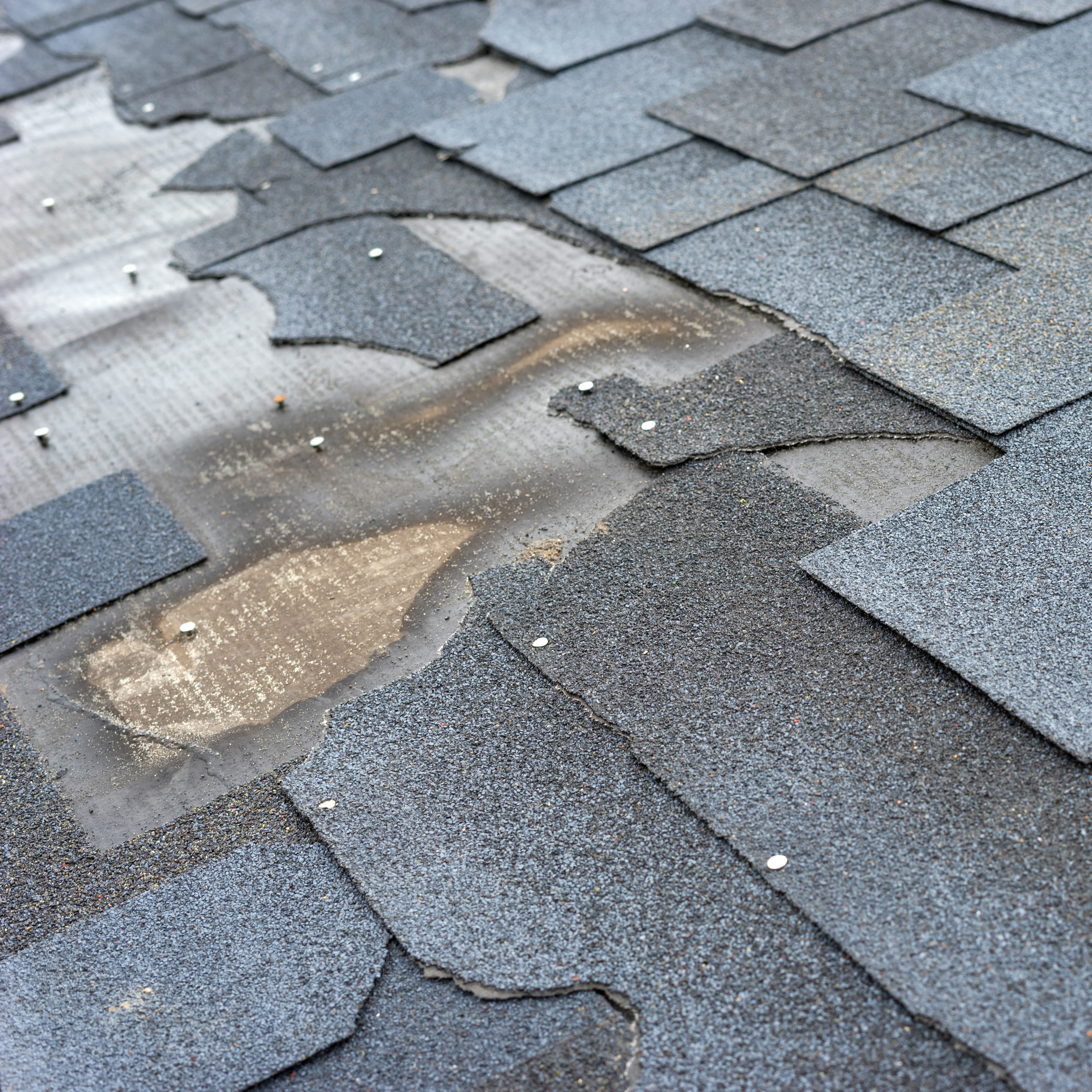 Сlose up view of bitumen shingles roof damage that needs repair.